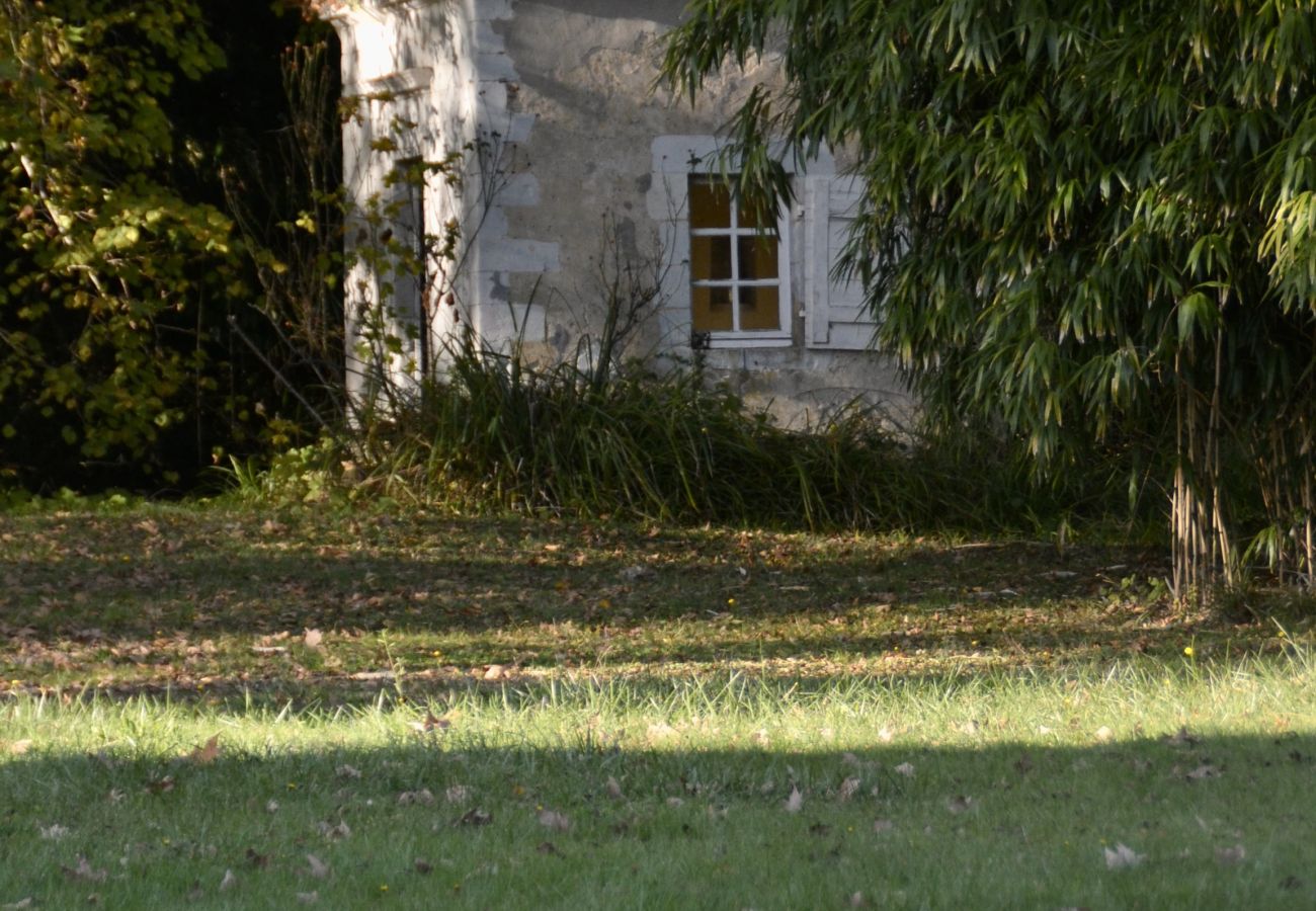 Country house in Bazouges-sur-le-Loir - Château de Marigné - 15 pers. - Rêve au Mans