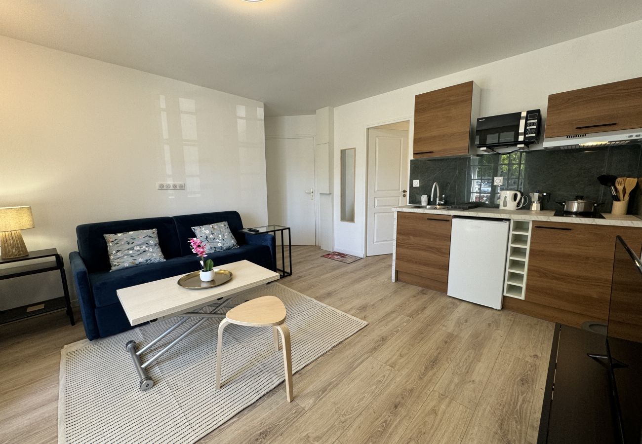 Appartement à Le Mans - Les lys jaune - 4pers - Rêve au Mans