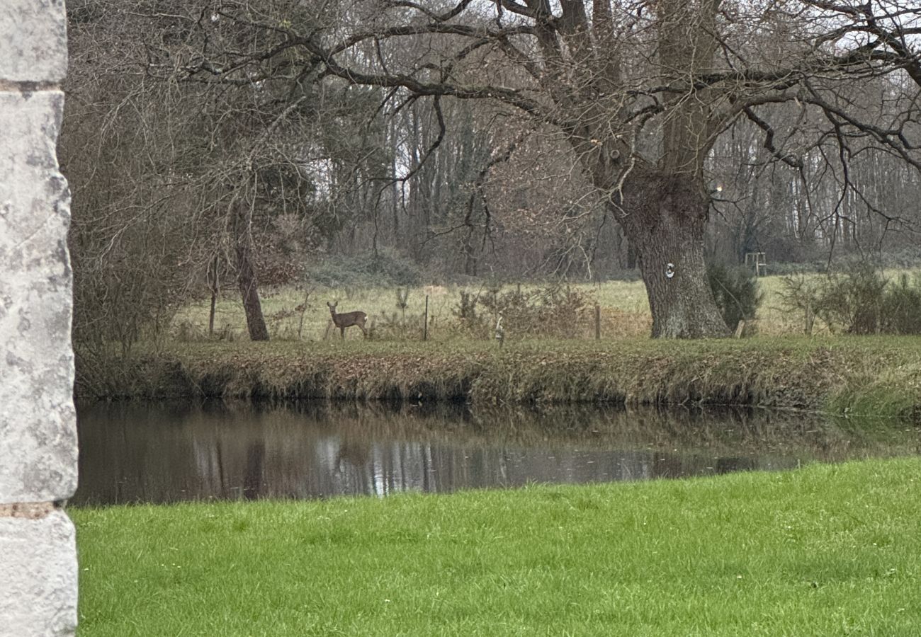 Gîte Rural à Aubigné-Racan - La Grange D'EsusTerra - piscine - 6 pers - Rêve au Mans